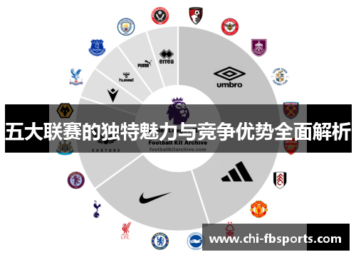 五大联赛的独特魅力与竞争优势全面解析
